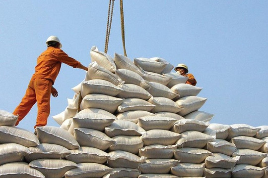 Dự báo xuất khẩu gạo tăng mạnh những tháng cuối năm