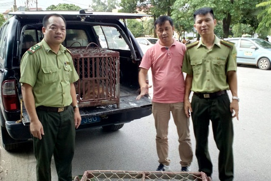Bắc Giang: Hai cá thể khỉ quý, hiếm được giải cứu về Trung tâm cứu hộ