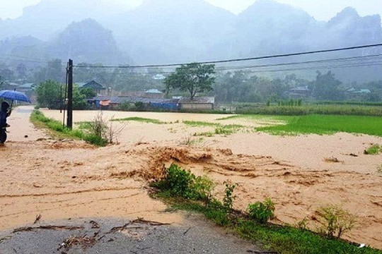 Đức Linh, Bình Thuận: Mưa lũ gây thiệt hại hơn 8 tỷ đồng