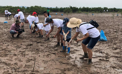 Giao lưu trồng rừng ngập mặn hữu nghị Việt Nam – Nhật Bản