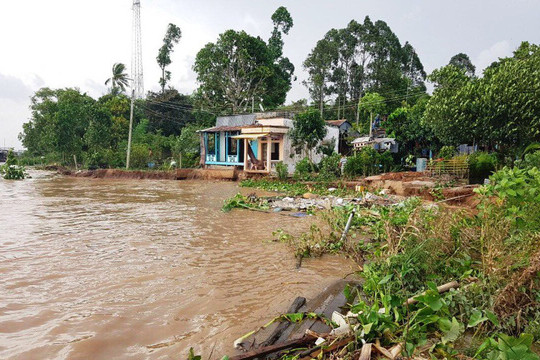 An Giang: Sông “ngoạm” bờ 25m, khẩn cấp di dời 11 hộ dân
