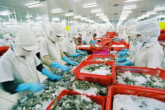 Thẻ vàng IUU làm giảm kim ngạch xuất khẩu hải sản