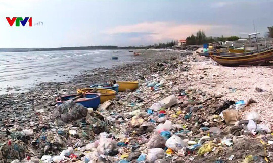 Biển Bình Thuận ngập ngụa rác thải