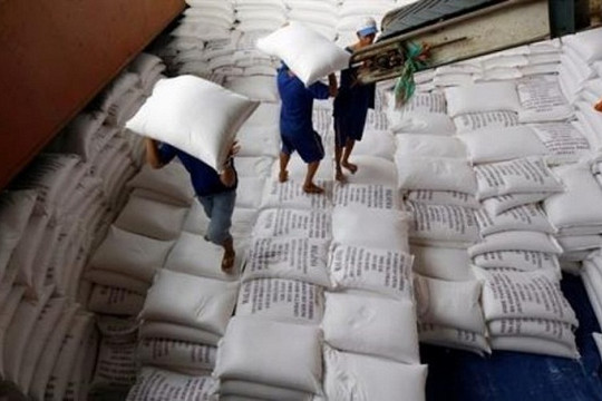 Giá gạo xuất khẩu tăng trở lại sau nhiều tuần sụt giảm