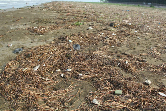 Nghệ An: Bãi biển ngập ngụa rác thải