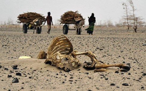 Kenya hạn hán dài: Hơn 700.000 người đối mặt với tình trạng thiếu thực phẩm