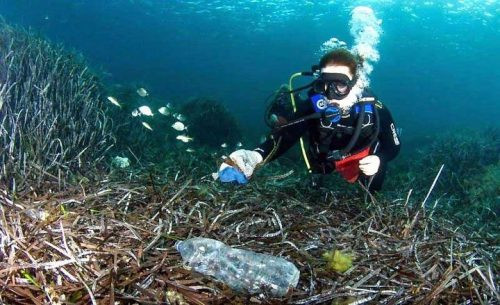 99,99% rác thải nhựa trên biển nằm sâu dưới đáy đại dương