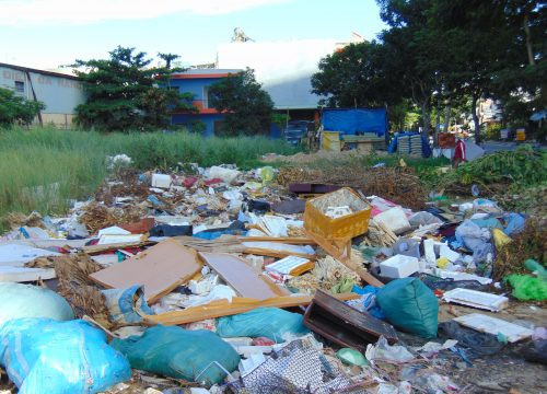 Đà Nẵng: Bãi rác lộ thiên trên đường Đinh Công Trứ, người dân khốn khổ
