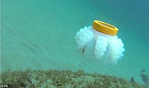 Nhằm nghiên cứu môi trường biển Mỹ phát triển robot sứa