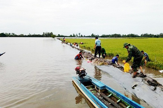 Chủ động ứng phó với lũ tại Đồng bằng sông Cửu Long