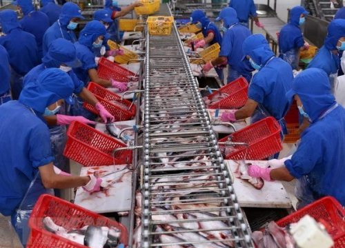 Hà Nội: Hội chợ các sản phẩm thủy sản sẽ diễn ra trong tháng 10