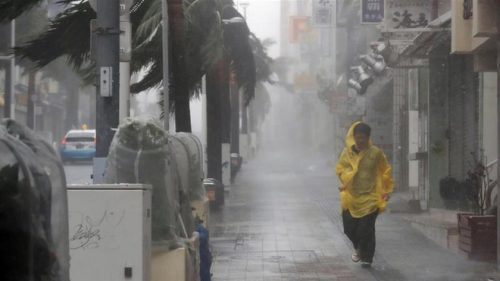 Nhật Bản cảnh báo sơ tán hơn 3,7 triệu người vì bão Trami
