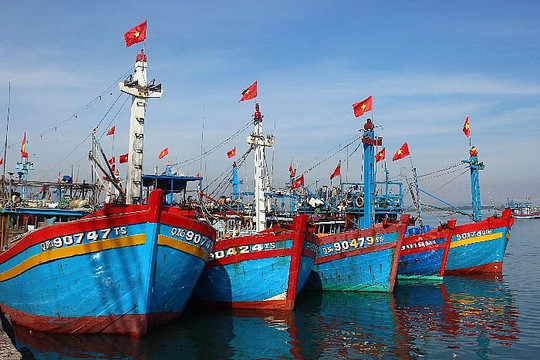 TP. Hồ Chí Minh: Giảm dần tàu cá khai thác ở vùng biển ven bờ