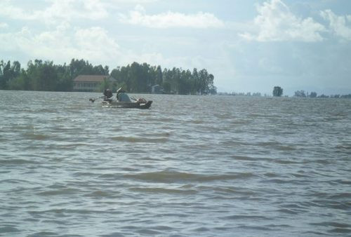 Dự báo mực nước sông Cửu Long sẽ lên theo triều