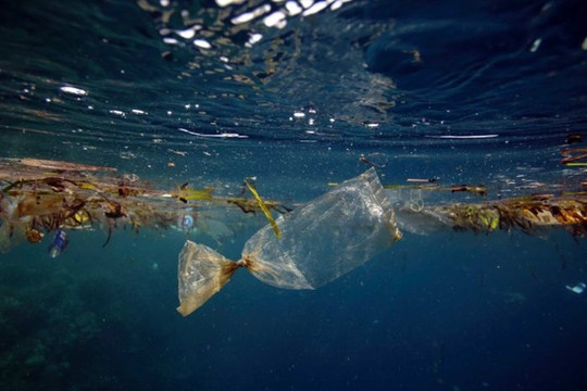 Chai nhựa tự hủy trong nước – hướng đi mới chống ô nhiễm đại dương