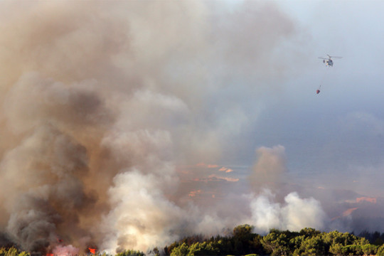 Bồ Đào Nha: Cháy rừng tại công viên tự nhiên Sintra-Cascais