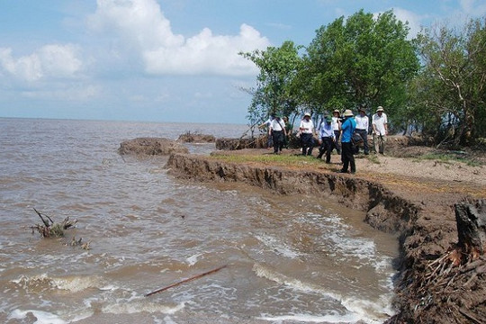Cà Mau: Khắc phục sạt lở bờ biển do biến đổi khí hậu