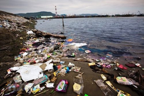 Hà Nội: Phát động phong trào “Chống rác thải nhựa”