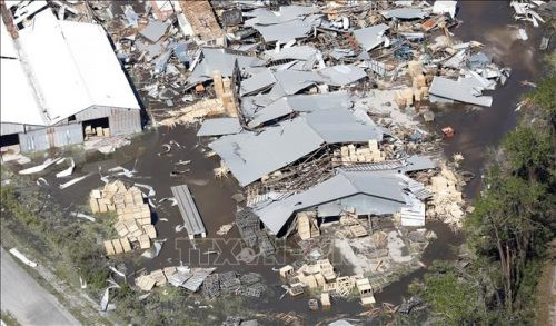 Mỹ ban bố tình trạng khẩn cấp tại bang Alabama do bão Michael