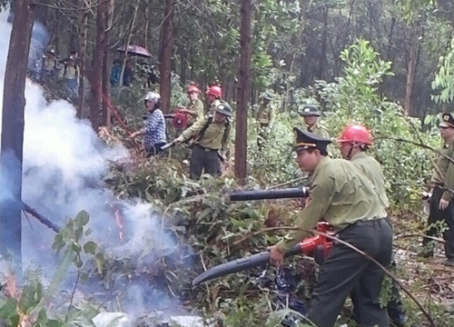 Ba Vì, Hà Nội: 330 người tham gia diễn tập chữa cháy rừng