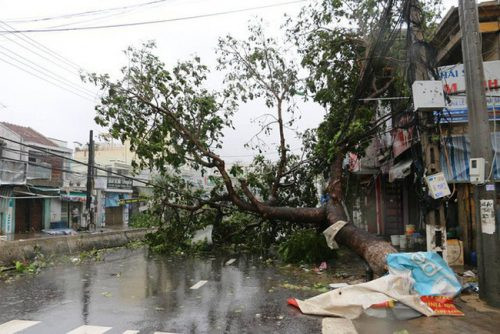 Đam Rông, Lâm Đồng: Xảy ra lốc xoáy bất thường