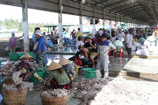 Kiên Giang: Đầu tư 95 tỷ đồng nâng cấp cảng cá Tắc Cậu