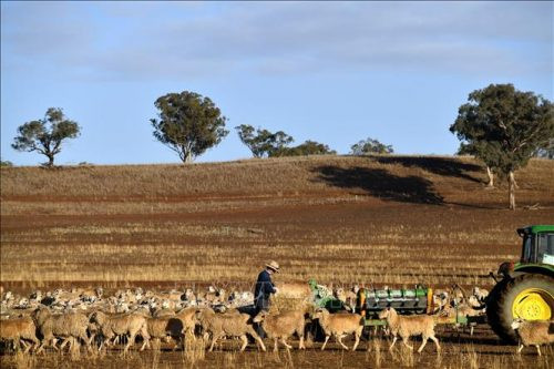 Australia hỗ trợ nông dân gần 3 tỷ USD ứng phó hạn hán
