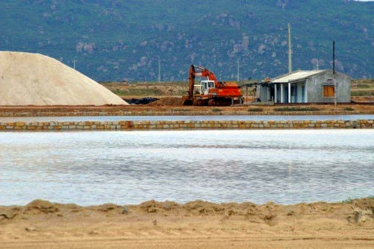 Bình Thuận: Khẩn trương giải quyết nơi nhiễm mặn kéo dài hơn 13 năm