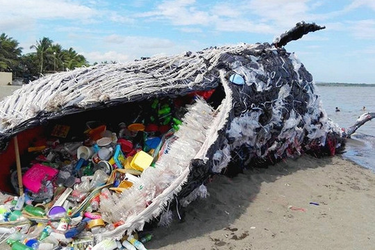 Khủng hoảng rác thải nhựa trên thế giới