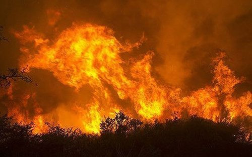 Mỹ: Cháy rừng lan nhanh khiến hàng trăm người bị mắc kẹt, sơ tán khẩn cấp 27.000 người