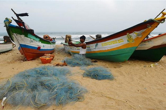 Ấn Độ: Bão Gaja đổ bộ, hơn 80.000 cư dân ở Tamil Nadu phải đi sơ tán