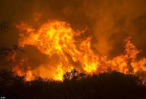 Mỹ: San Francisco chìm trong khói độc do cháy rừng tại bang California