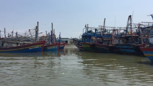 Bà Rịa-Vũng Tàu: Cấm tất cả các phương tiện thủy ra khơi