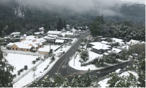 New Zealand tuyết rơi đột ngột trong mùa hè