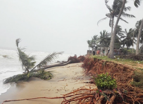 Ấn Độ: Ít nhất 33 người thiệt mạng do cơn bão Gaja
