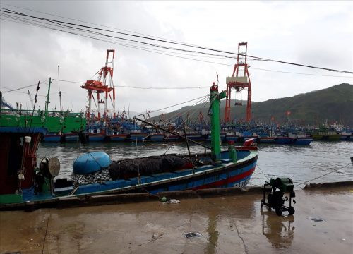 Hơn 400 tàu cá đã vào Quy Nhơn tránh bão số 9