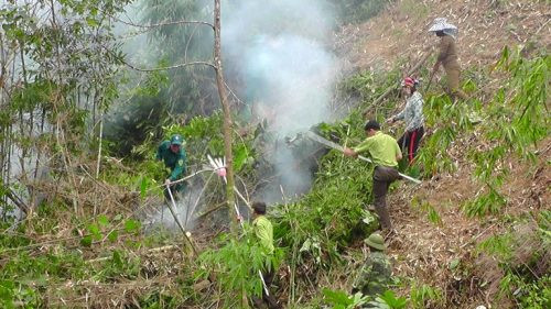 Yên Bái: Diễn tập phòng cháy chữa cháy rừng tại xã Lương Thịnh