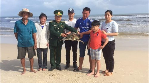 Quảng Trị: Thả con vích nặng 14 kg về biển