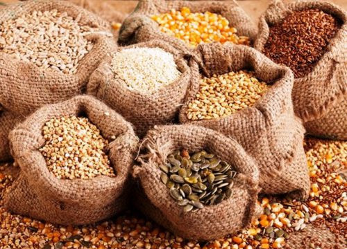 Xuất cấp hơn 1.200 tấn hạt giống cây trồng từ nguồn dự trữ quốc gia hỗ trợ 3 tỉnh thiệt hại do thiên tai
