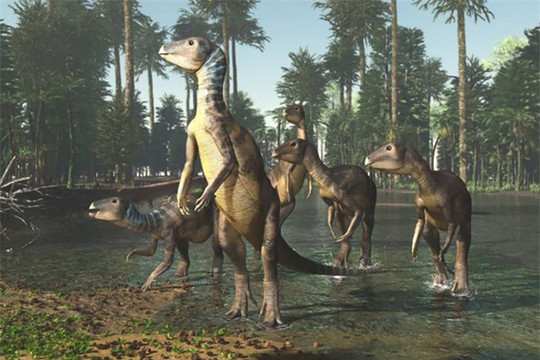Australia: Khám phá ra loài khủng long mới