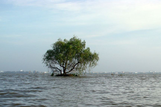 Phát triển kinh tế và các dòng sông trong tiểu vùng Mekong mở rộng