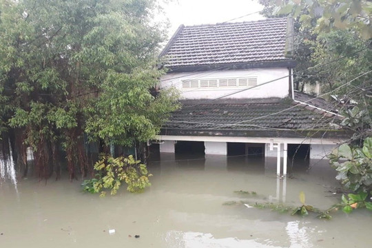 Quảng Nam: 4 người tử vong, thiệt hại hơn 126 tỷ đồng do mưa lũ