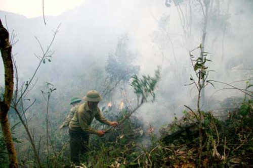 Hà Giang: Tăng cường các biện pháp phòng, chống cháy rừng mùa khô hanh 2018 – 2019