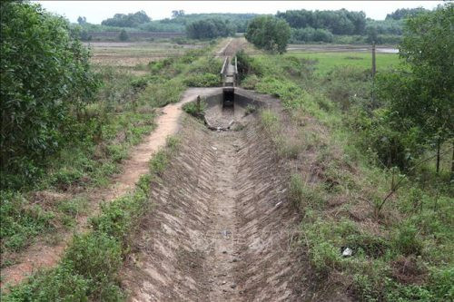 Quảng Trị: Dự kiến 6.900 ha lúa không sản xuất được do thiếu nước