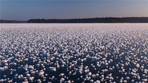 Xuất hiện hàng nghìn ‘hoa băng’ hiếm gặp trên hồ nước ngọt Valdai