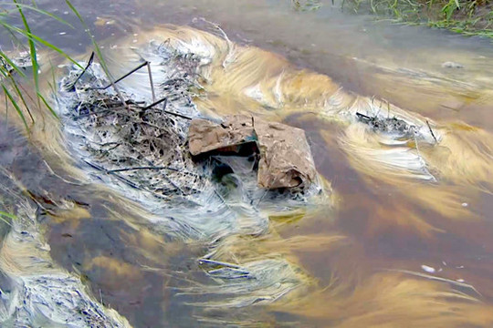 Tuy Hòa, Phú Yên: Nhà máy đường xả nước thải vượt quy chuẩn ra môi trường