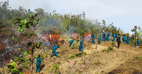 Kon Tum: Tăng cường các biện pháp phòng cháy chữa cháy, quản lý và bảo vệ rừng mùa khô