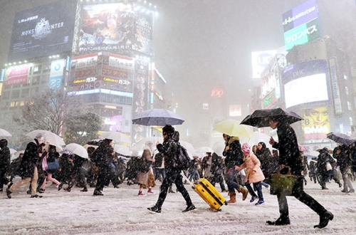 Nhật Bản: Thời tiết khắc nghiệt trong những ngày đầu năm mới 2019