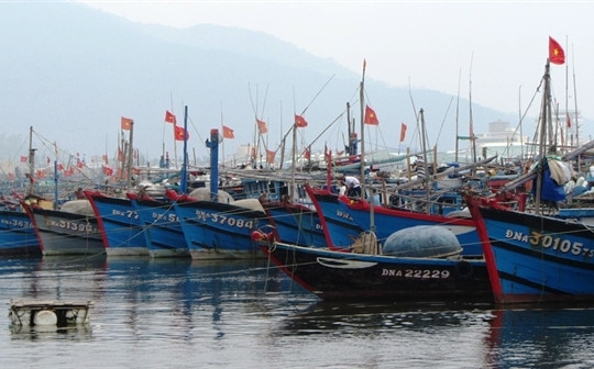 Thừa Thiên Huế: Cho phép tàu thuyền đảm bảo an toàn được phép ra khơi