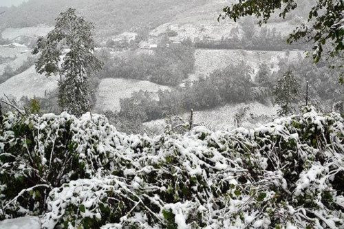 Đức: Tuyên bố tình trạng khẩn cấp do tuyết rơi dày ở phía nam Bavaria